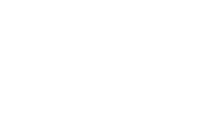 The View at NoDa logo